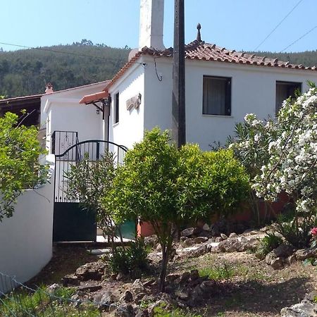 Casa Da Milharica Villa Figueiro Dos Vinhos Bagian luar foto