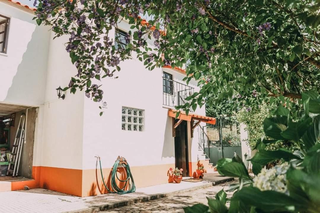 Casa Da Milharica Villa Figueiro Dos Vinhos Bagian luar foto
