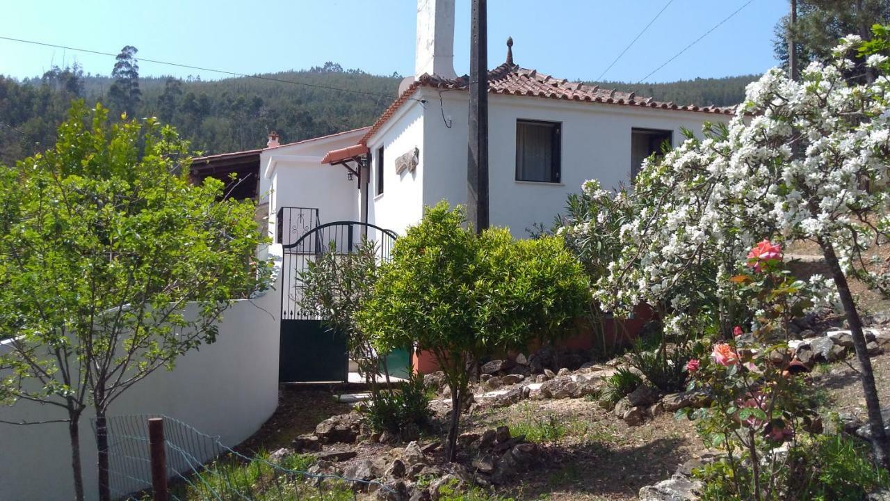 Casa Da Milharica Villa Figueiro Dos Vinhos Bagian luar foto